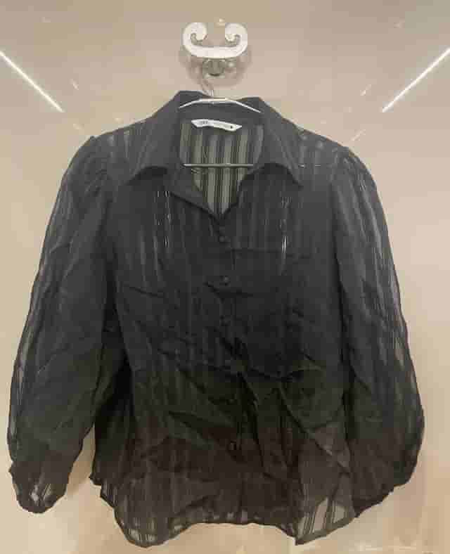 Zara black sheer full sleeve top